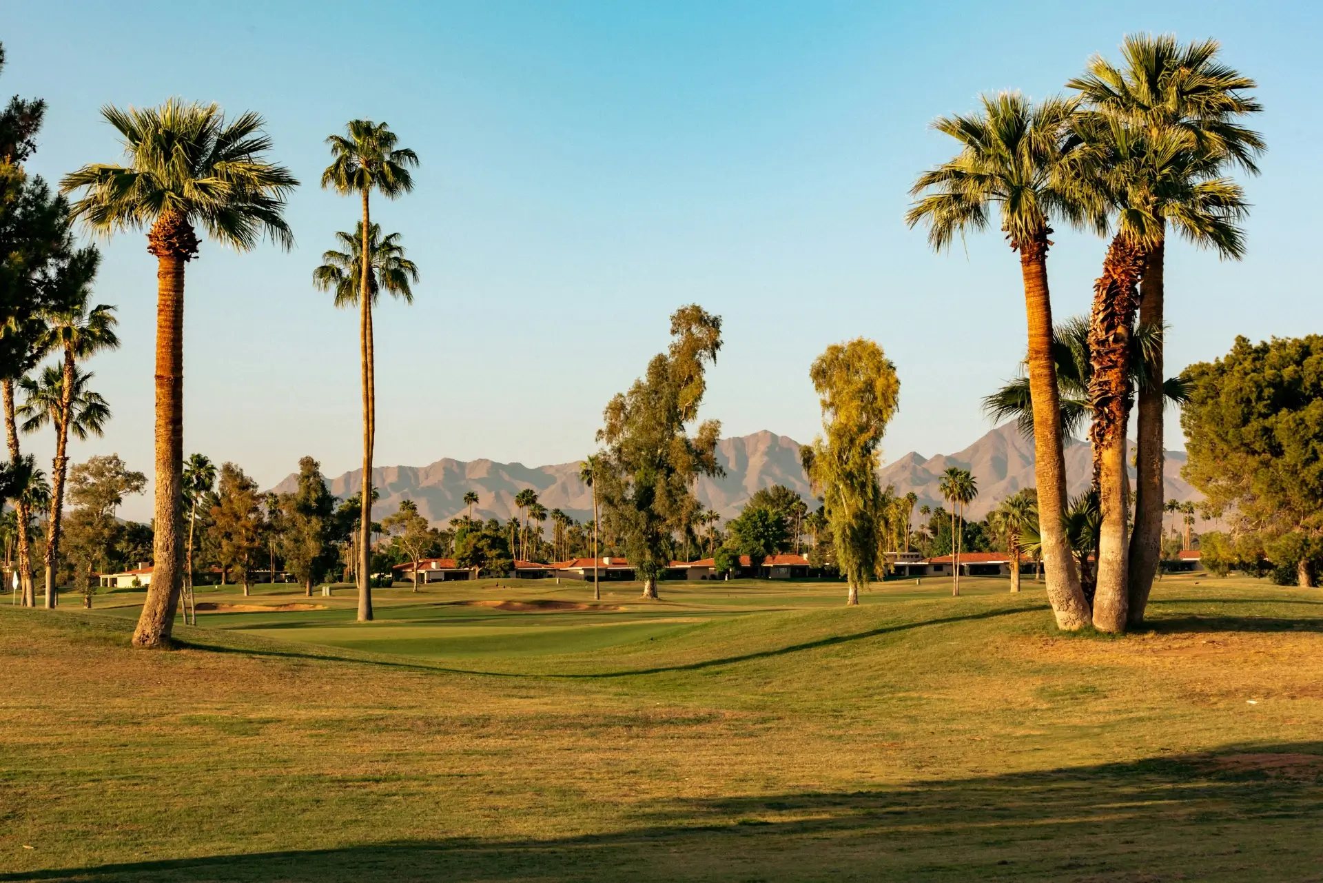 A serene image of a Scottsdale golf course with the McDowell Mountains in the background.